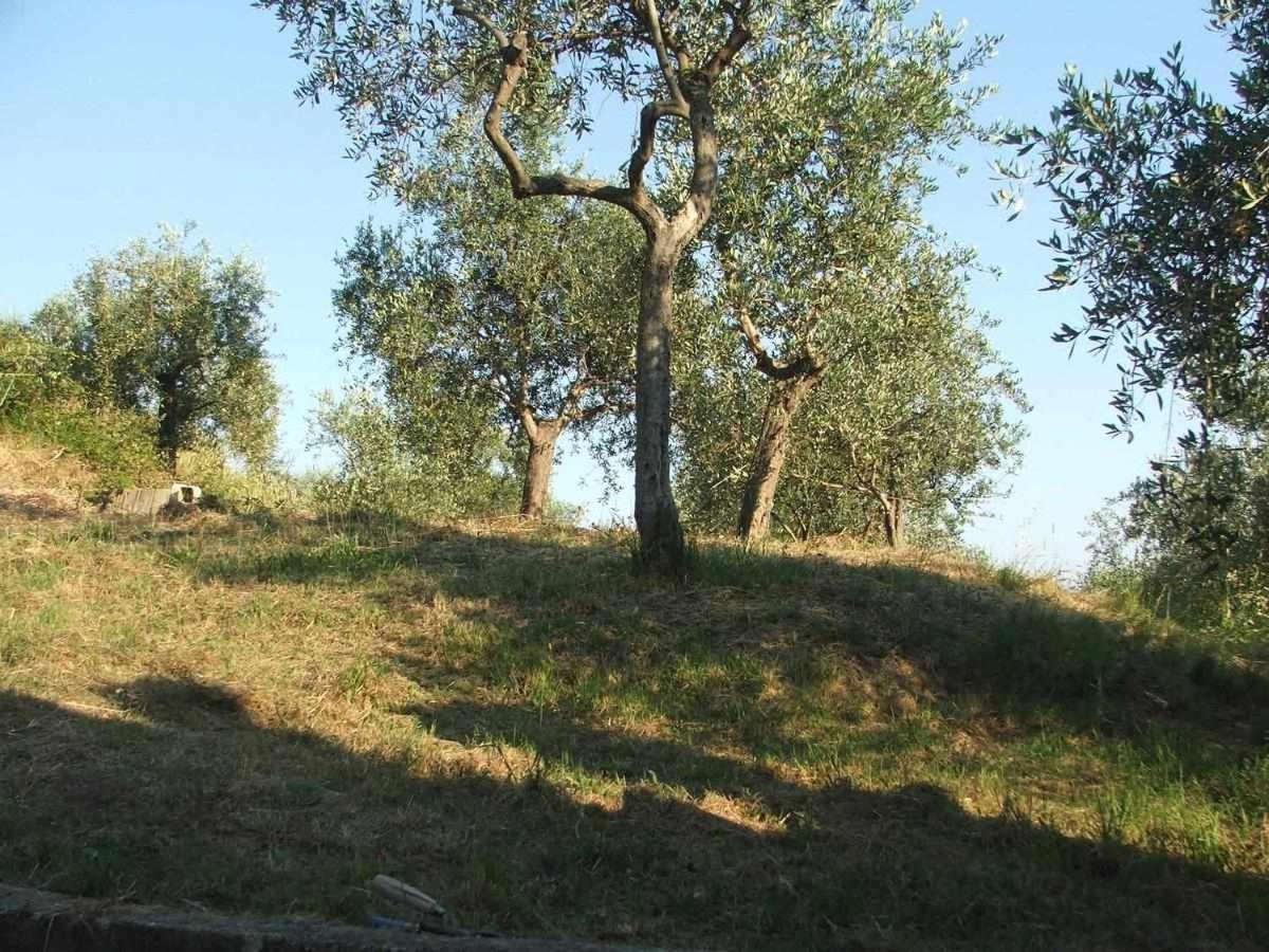 La Casetta Di Sofia Moneglia Bagian luar foto