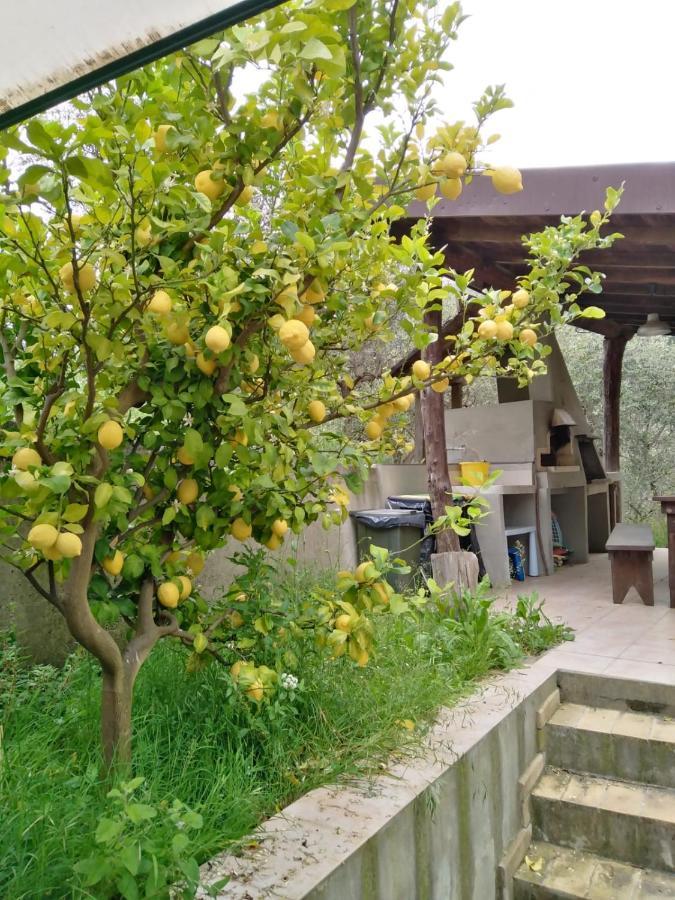 La Casetta Di Sofia Moneglia Bagian luar foto