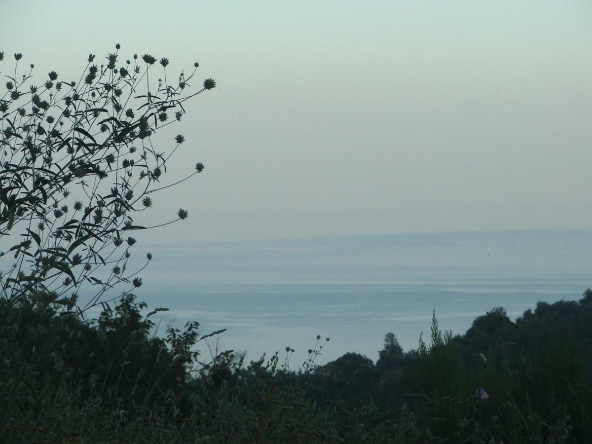 La Casetta Di Sofia Moneglia Bagian luar foto